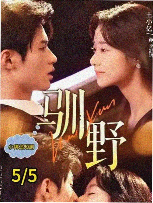 雾港来信 年代剧封面